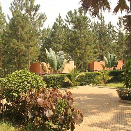Saltek Forest Cottages Masindi Екстериор снимка