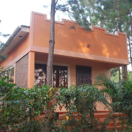 Saltek Forest Cottages Masindi Екстериор снимка