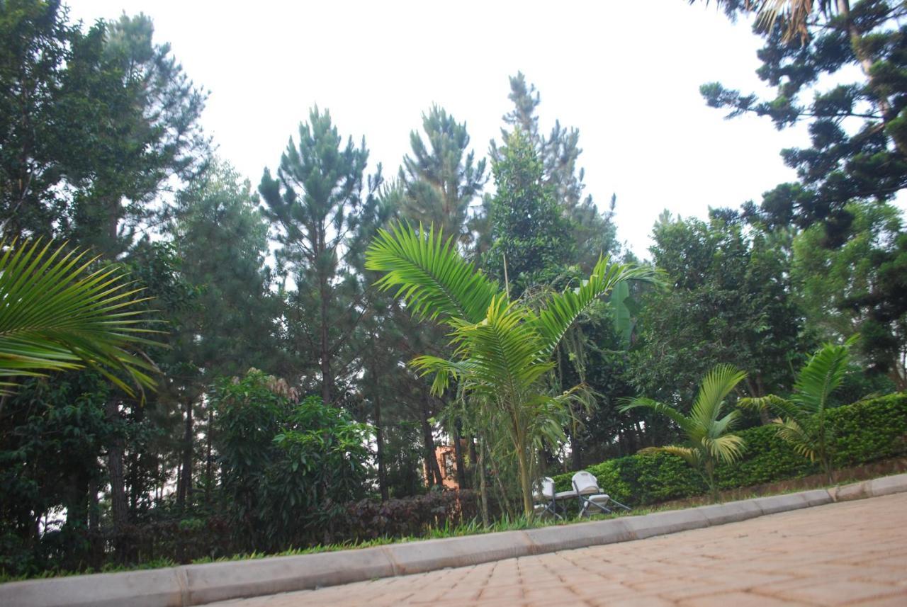 Saltek Forest Cottages Masindi Екстериор снимка