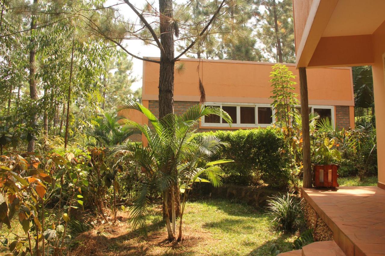 Saltek Forest Cottages Masindi Екстериор снимка